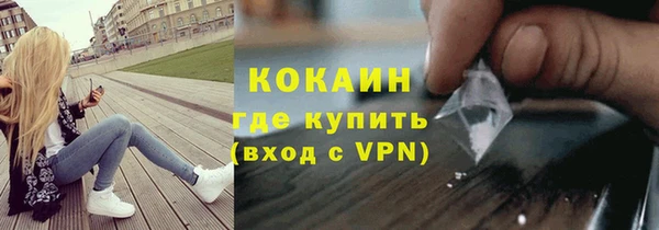 гашик Алексеевка