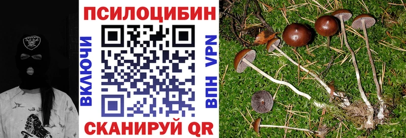 Галлюциногенные грибы мухоморы  Енисейск 